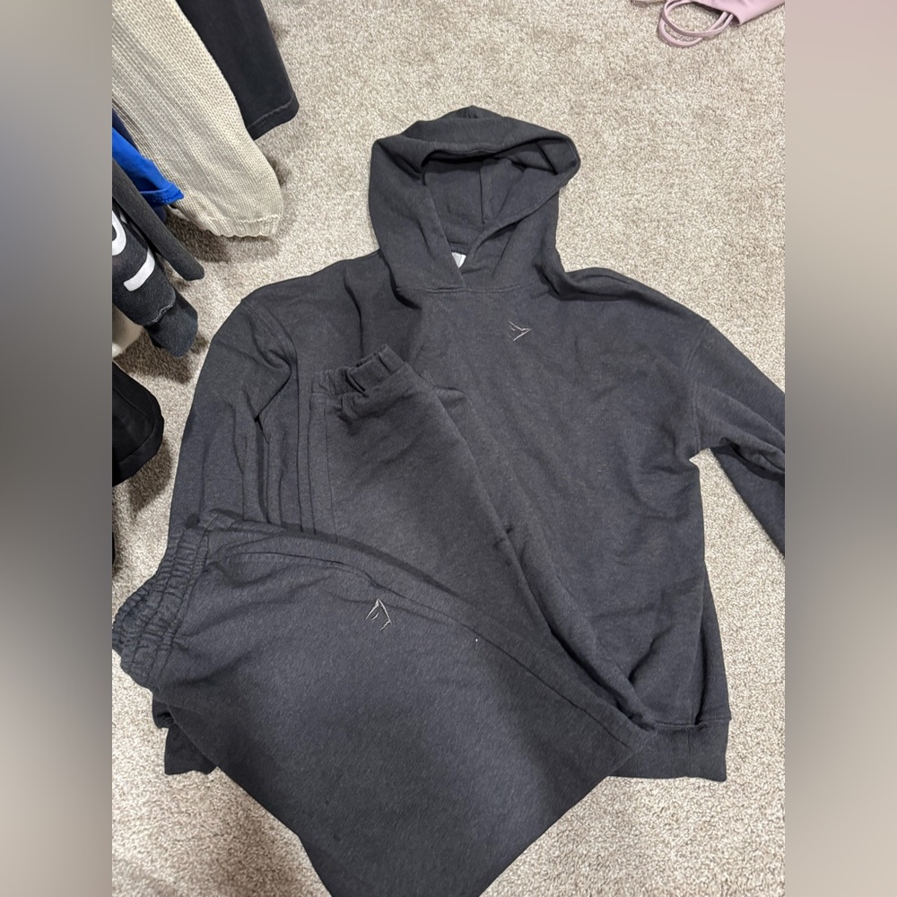 Gym shark sweater and sweat pants set